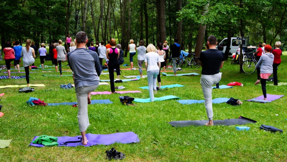 Miłośnicy jogi ćwiczyli w parku na Bydgoskim Przedmieściu. Fot. Adriana Andrzejewska