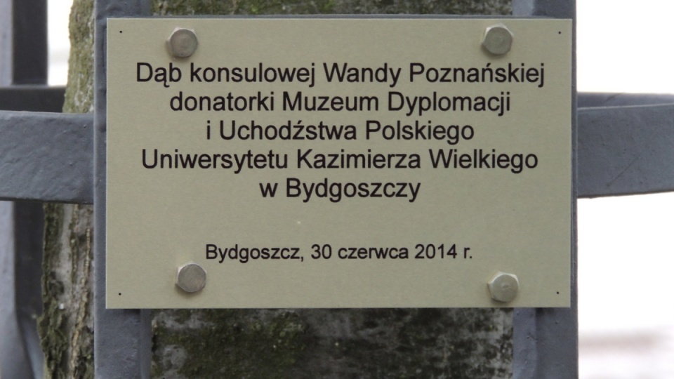 Początek zbiorom bydgoskiego Muzeum Dyplomacji i Uchodźstwa Polskiego dały archiwalia przekazane przez wdowę po Karolu Poznańskim - ostatnim konsulu II RP w Londynie. Fot. Tatiana Adonis