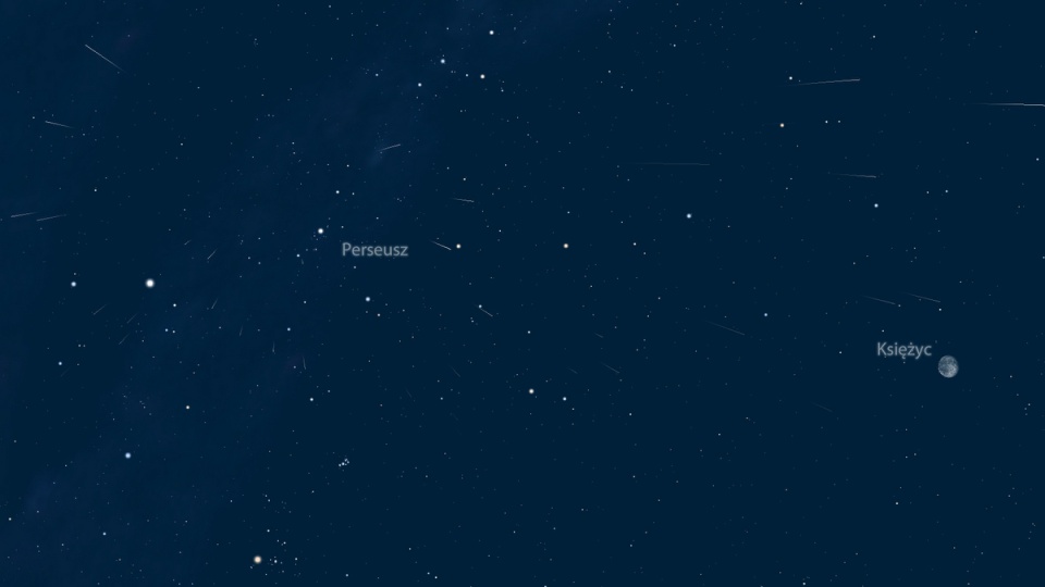 Meteory "sypią się" z gwiazdozbioru Perseusza, stąd nazwa "Perseidy". Największe nasilenie spadających gwiazd przypada na noc z 12 na 13 sierpnia. Grafika: Piotr Majewski