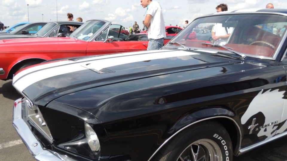 "Mustang Race" jest okazją do wymiany doświadczeń, spotkania znajomych a dla widzów poznania tajemnic związanych z tą wyjątkową maszyną. Fot. Michał Zaręba