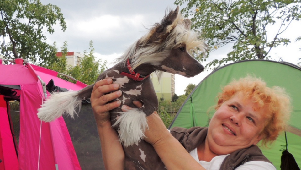 Na toruńskiej wystawie spotkać można zarówno popularne rasy, jak również te ciekawe i bardzo rzadkie. Fot. Adriana Andrzejewska