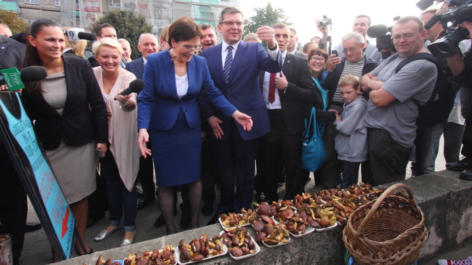 Premier Ewa Kopacz (centrum-L) na targowisku w Ostrowie Wielkopolskim. Wcześniej premier spotkała się z mieszkańcami miasta. Fot. PAP/Tomasz Wojtasik