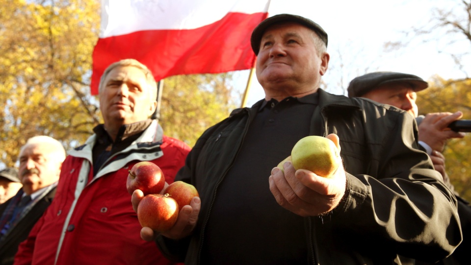 Sadownicy protestowali pod kancelarią premiera, gdzie zamierzają złożyć petycję do Ewy Kopacz. Fot. PAP/Tomasz Gzell