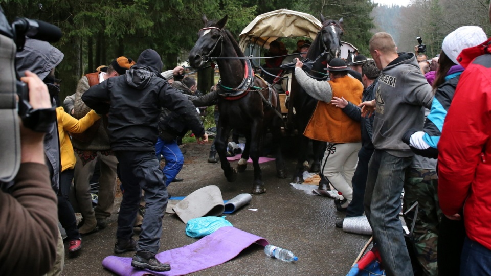 Doszło do przepychanek pomiędzy ekologami a fiakrami, interweniowała policja, która zdecydowala o rozwiązaniu zgromadzenia. Fot. PAP/Grzegorz Momot