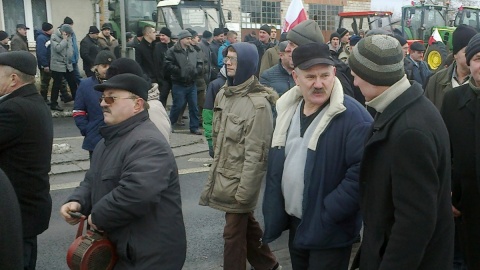 Sprowadzanie mięsa z zagranicy to śmierć dla polskiego rolnictwa - mówią rolnicy. Fot. Andrzej Krystek