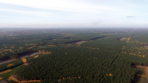 Lotami nad Toruniem piloci z miejscowego Aeroklubu Pomorskiego trenują przed grudniowymi Igrzyskami Lotniczymi w Dubaju. Fot. Michał Zaręba