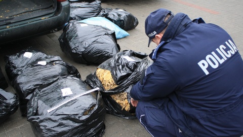 100 kg nielegalnego tytoniu przechwycono w Golubiu-Dobrzyniu