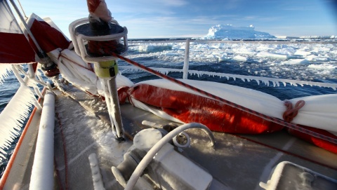 Polski jacht jako pierwszy w historii dopłynął na żaglach do Antarktydy [wideo]