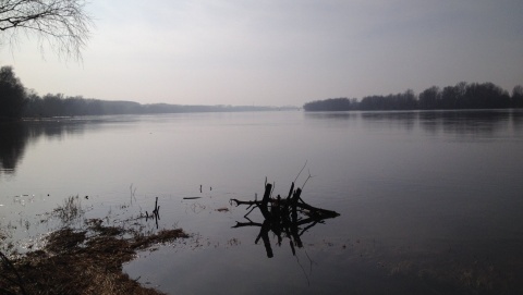 Zarząd Dorzecza Wisły w Bydgoszczy