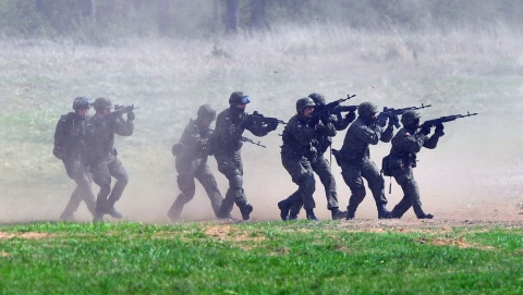 Tysiące sojuszników na polskich poligonach