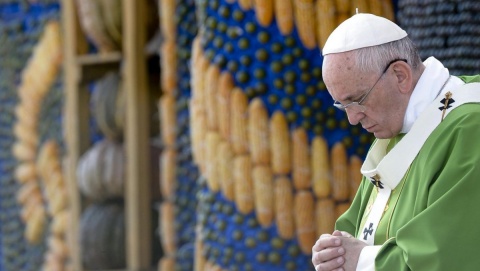 Papież: wiara bez gestów solidarności jest martwa