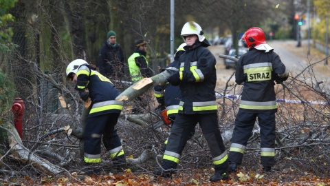 Ofiara śmiertelna, trzy osoby ranne, 18 tys.odbiorców na Pomorzu bez prądu