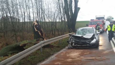 Silny wiatr na Pomorzu i Kujawach. 120 interwencji strażaków