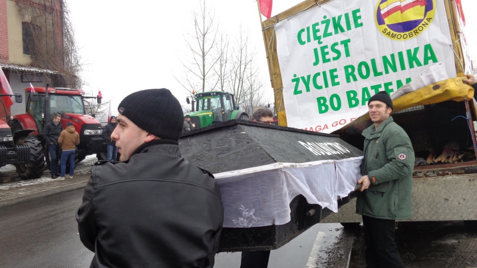 Sprowadzanie mięsa z zagranicy to śmierć dla polskiego rolnictwa - mówią rolnicy. Fot. Marcin Doliński