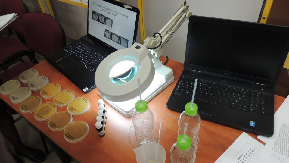 Jest to okazja do zaprezentowania wyników badań bardzo młodych ludzi, którzy udowadniają, że nauka może być pomysłem na życie. Fot. Monika Kaczyńska