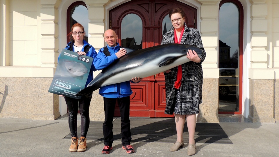 Anna Mackiewicz, zast. prezydenta Bydgoszczy (z prawej) oraz członkowie Błękitnego Patrolu WWF z morświnem. Fot. Tatiana Adonis