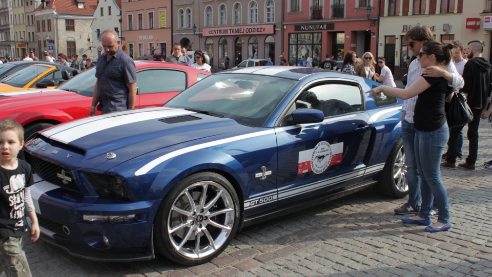 VII Ogólnopolski Zlot Mustangów był dla mieszkańców Torunia nie lada atrakcją. Fot. Monika Kaczyńska