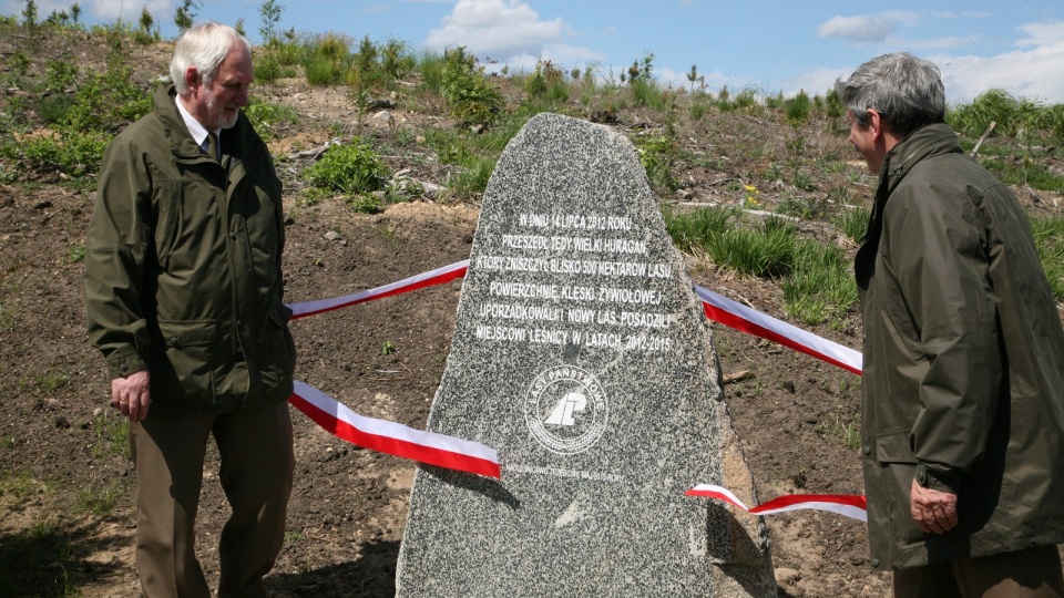 Pamiątkowy kamień i dąb mają przypominać o zniszczeniach lasu w czasie przejścia przez okolice Tlenia trąby powietrznej w 2012 roku. Fot. Marcin Doliński