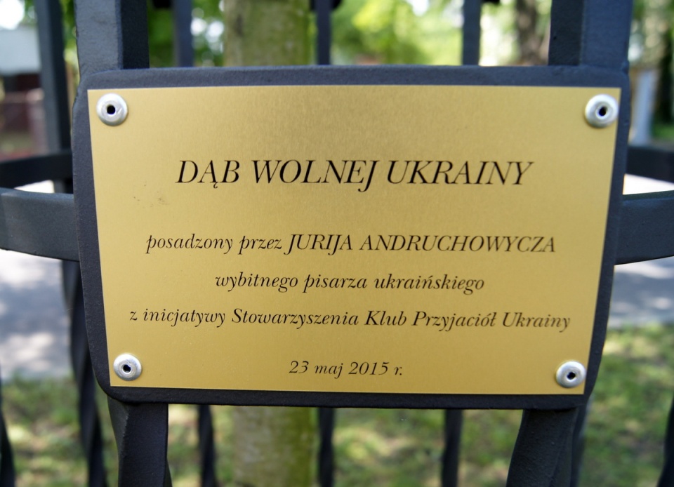 23 maja w Alei Ossolińskich w Bydgoszczy posadzony został "Dąb Wolnej Ukrainy". Fot. Henryk Żyłkowski