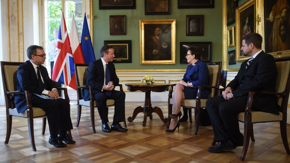 Premier RP Ewa Kopacz i premier Wielkiej Brytanii David Cameron podczas rozmów w Pałacu na Wyspie w Łazienkach Królewskich w Warszawie. Fot. PAP/Radek Pietruszka