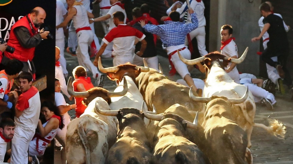 Ucieczka przed rozjuszonymi bykami to największa atrakcja festiwalu ku czci św. Fermina. Fot. PAP/EPA/JUAN PEDRO URDIROZ
