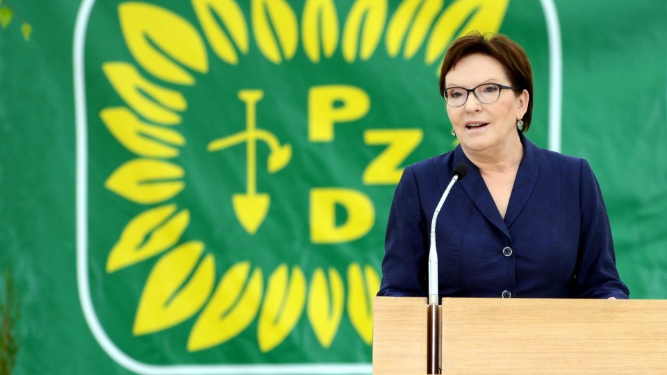 Premier Ewa Kopacz przemawia podczas uroczystych obchodów 56. Krajowych Dni Działkowca w Tczewie. Fot. PAP/Piotr Pędziszewski