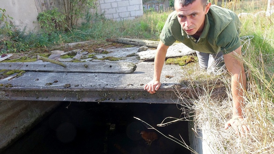 Z posesji zabrano także kury, które powpadały do szamba i nie mogły z niego się wydostać. Fot. Pogotowie dla Zwierząt z Trzcianki