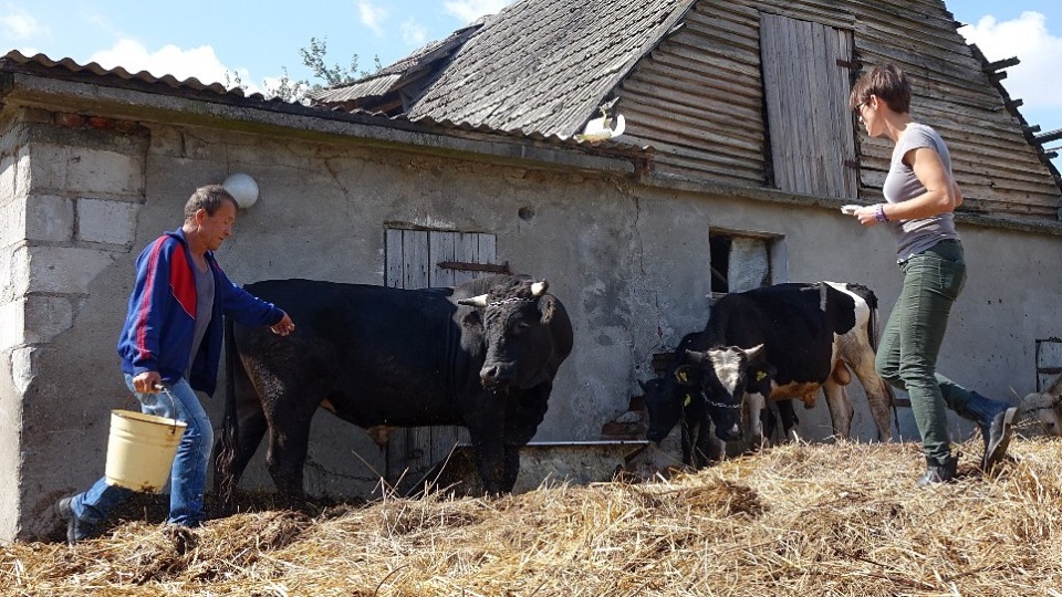 Interwencja w gospodarstwie. Fot. Pogotowie dla Zwierząt z Trzcianki