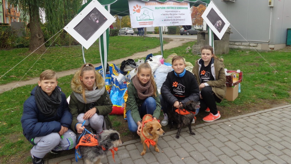 Wolontariusze świeckiego schroniska dla zwierząt na tle darów przyniesionych przez mieszkańców. Fot. Marcin Doliński