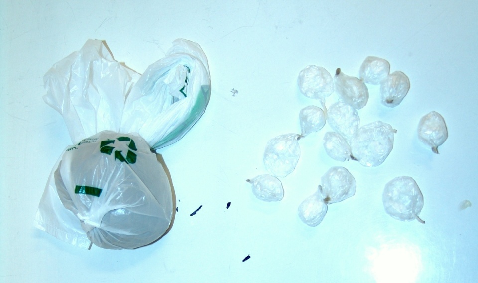 1400 gramów amfetaminy porcjowanej w foliowych woreczkach przechwycili policjanci z Torunia. Fot. KMP w Toruniu