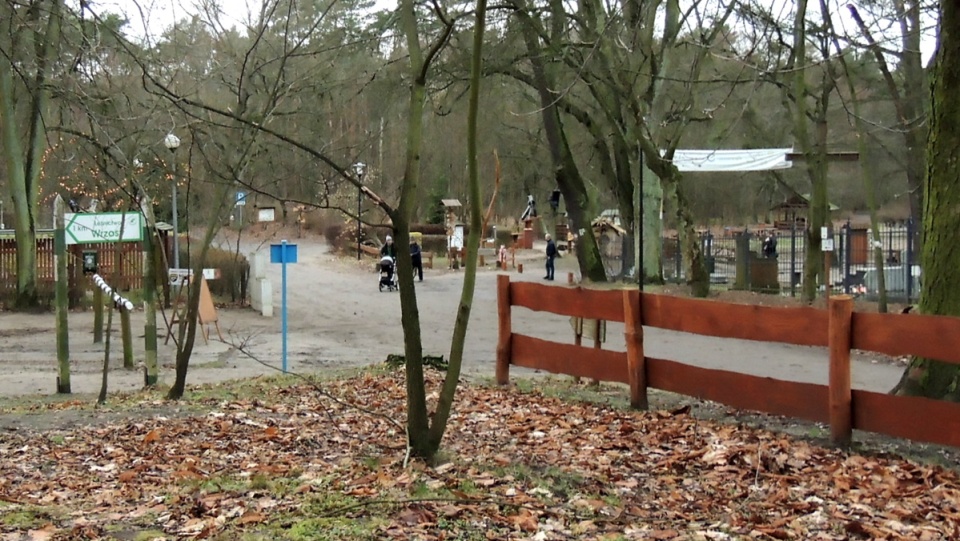 Spacerującym na toruńskiej Barbarce nie przeszkadzał wcale brak śniegu. Fot. Michał Zaręba