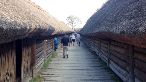 Festyn Archeologiczny w Biskupinie jak zwykle przyciąga zainteresowanych, pogoda sprzyja. Fot. Tomasz Kaźmierski