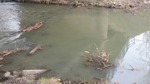 Czy 3 rzeczki w okolicach Włocławka są zatrute