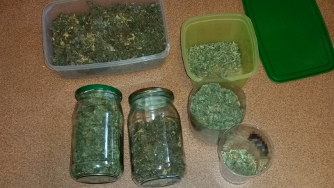 Policjanci z Golubia-Dobrzynia przejęli 2,6 kg marihuany [wideo]