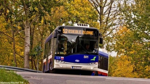 Tramwajem lub autobusem na cmentarz