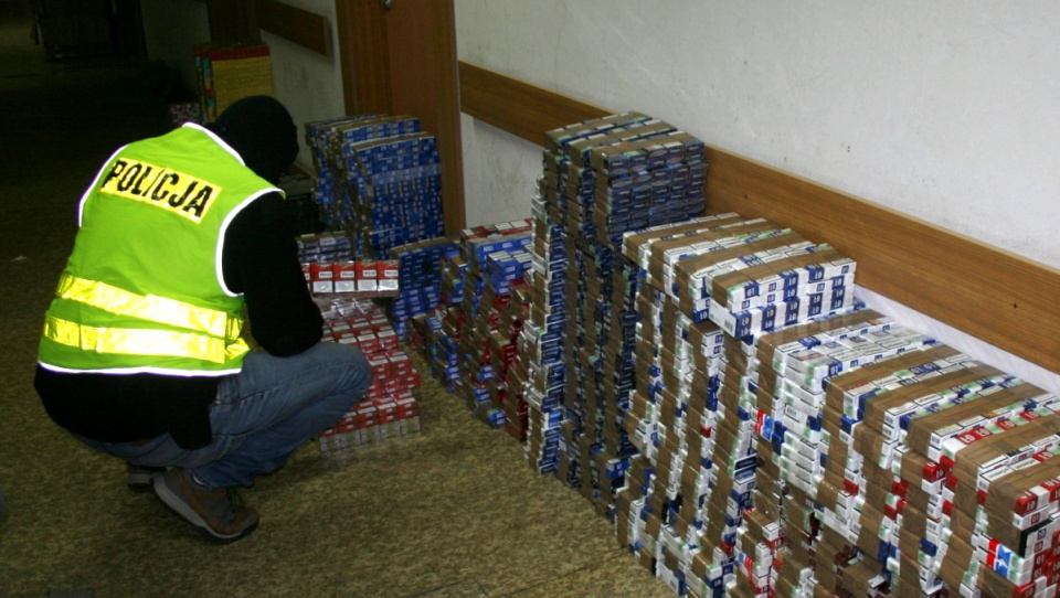 Ogółem policjanci zabezpieczyli 9 tysięcy paczek papierosów i około 400 kg liści i tytoniu. Fot. KMP Włocławek