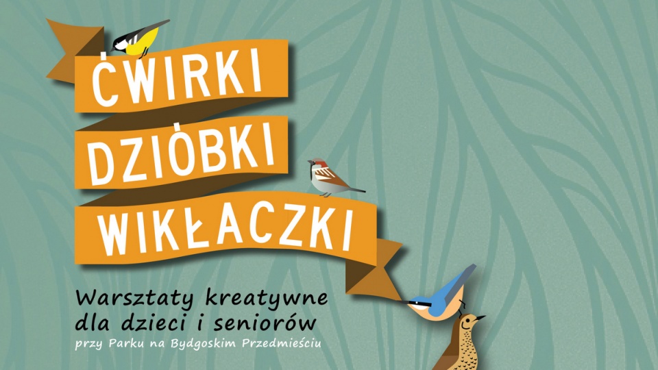 Bliżej ptaków w ramach toruńskich warsztatów. Grafika: youhaveit.pl