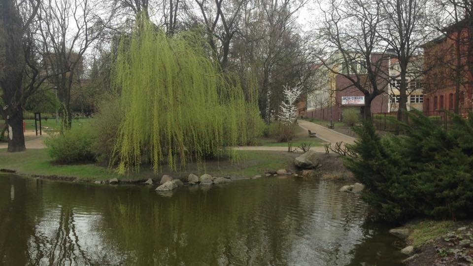 Park Kazimierza Wielkiego w Bydgoszczy. Fot. Tomasz Kaźmierski