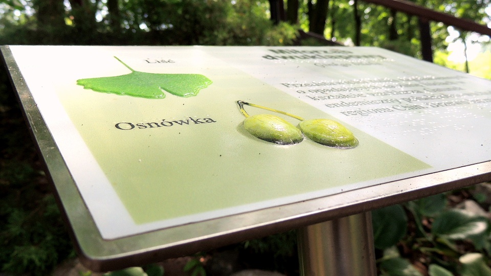 Jedna z tablic, opisana również w języku Braille