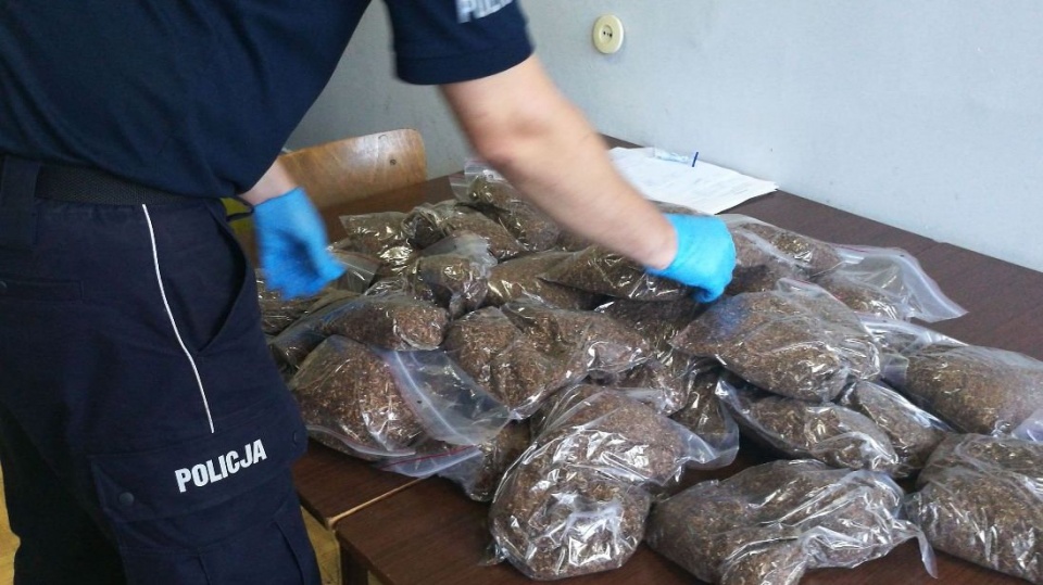 15 kg tytoniu bez znaków skarbowych akcyzy ujawnili wczoraj włocławscy policjanci u mężczyzny z powiatu radziejowskiego. Fot. Policja