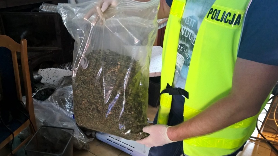 Policjanci zlikwidowali profesjonalnie zorganizowaną plantację konopi. Fot. Policja