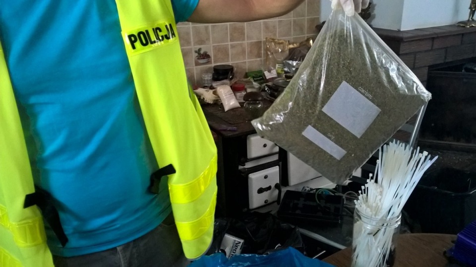 Policjanci zlikwidowali profesjonalnie zorganizowaną plantację konopi. Fot. Policja