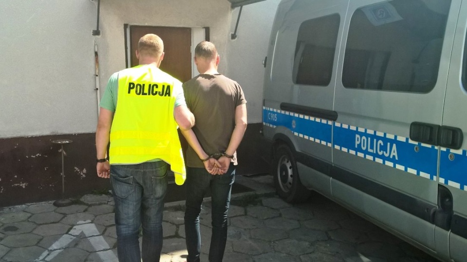 Policjanci zlikwidowali profesjonalnie zorganizowaną plantację konopi. Fot. Policja