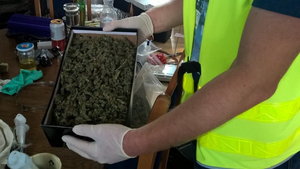 Policjanci zlikwidowali profesjonalnie zorganizowaną plantację konopi. Fot. Policja