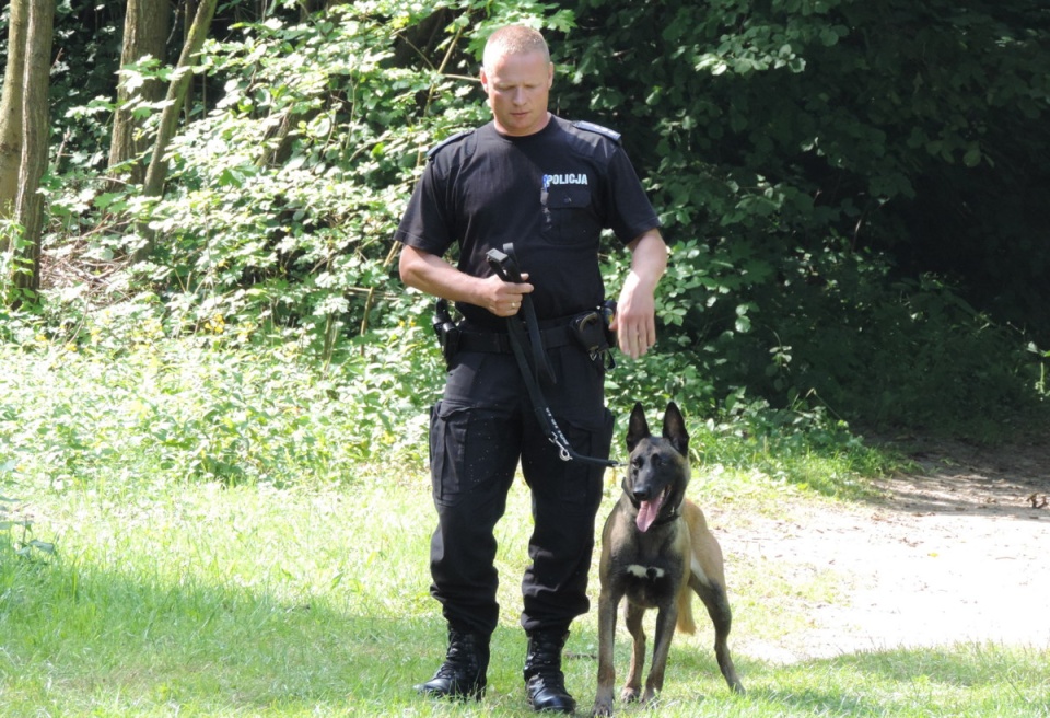 Konkurencje rozgrywane w Bydgoszczy wyłonią najlepszych przewodników z psami do startu w etapie ogólnopolskim Kynologicznych Mistrzostw Policji. Fot. Lech Przybyliński