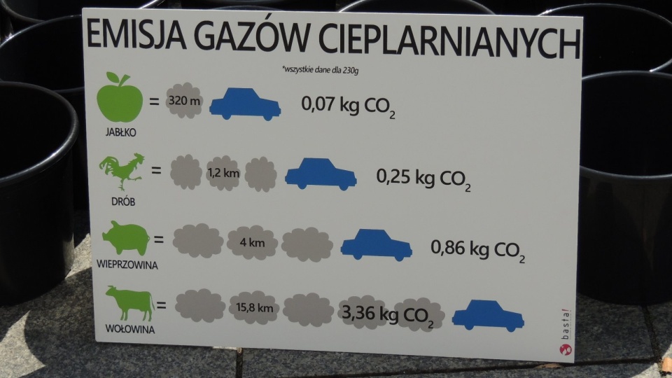 Dlaczego warto przejść na weganizm przekonywali w Toruniu wolontariusze Inicjatywy na Rzecz Zwierząt BASTA. Fot. Błażej Nagiecki