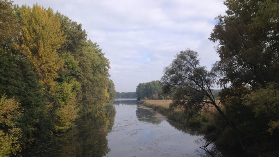 Skutki nawałnic usunięte odwołano zakaz wstępu do lasu w Leśnictwie Świt koło Tucholi. Fot. Archiwum