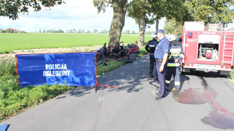 Kierujący oplem zjechał na przeciwległy pas ruchu i uderzył w przydrożne drzewo. Fot. Policja