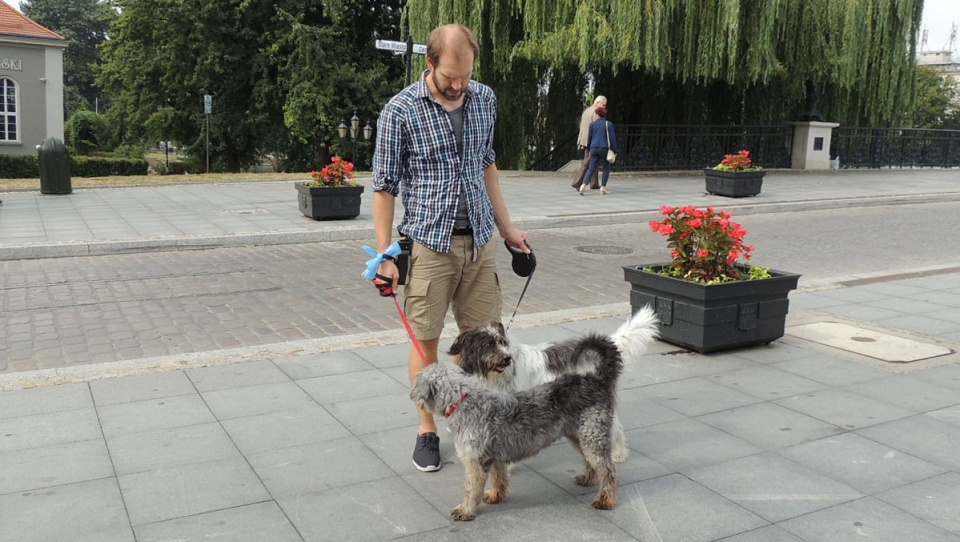 Bohaterami bydgoskiej wystawy psów wielorasowych były wyłącznie kundelki. Fot. Damian Klich