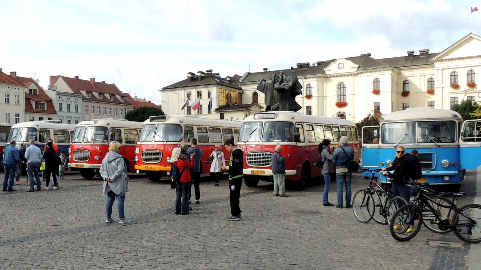 Wystawa autobusów na Starym Rynku w Bydgoszczy. Fot. Damian Klich